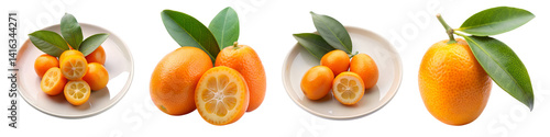 Kumquat slice on transparent background.
