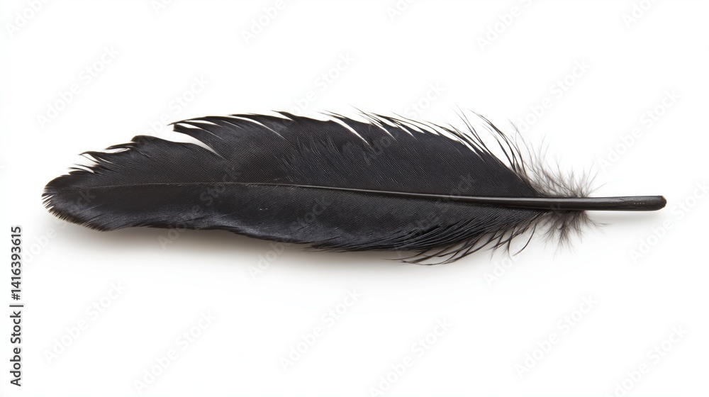 A single, perfectly rendered black feather, with intricate detail in the vane and barbs A single, perfectly rendered black feather, with intricate detail in the vane and barbs
