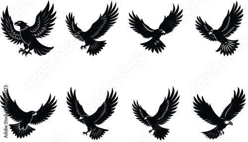 Eagle Vector Silhouetted Bundle Set Collection