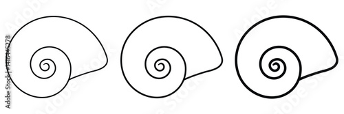 Nautilus shell. Grape snail shell line icon vector isolated. Vector illustration with seashell nautilus. vector illustration.