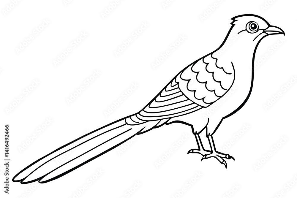 Fototapeta premium a cuckoo bird silhouette vector illustration white background