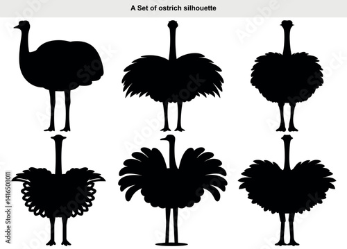 set of vector silhouettes of ostrich