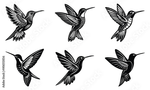 Set of hummingbird vector silhouette Black Bird Wing Illustration Bundle