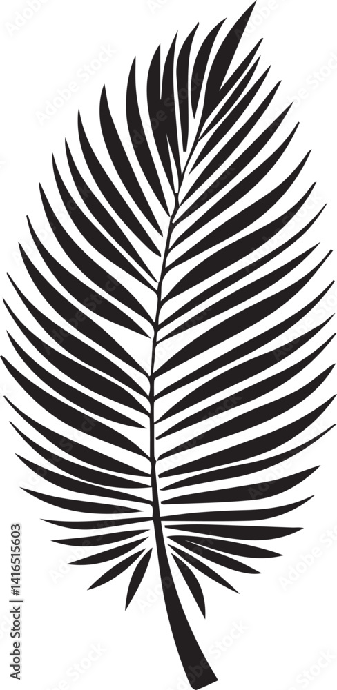 Obraz premium A coconut leaf