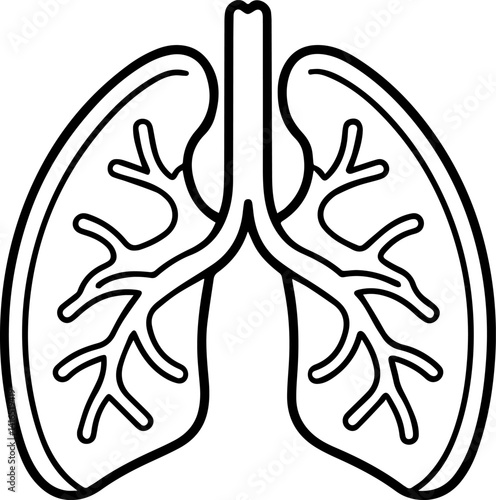 Human lung outline vector illustration