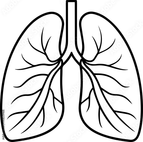 Human lung outline vector illustration