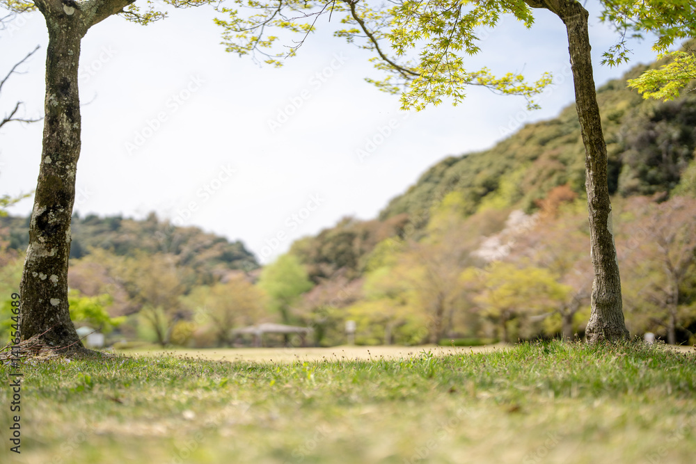 Spring scene in May at a no-people park in Jokojicho, Seto City, Aichi Prefecture Spring scene in May at a no-people park in Jokojicho, Seto City, Aichi Prefecture