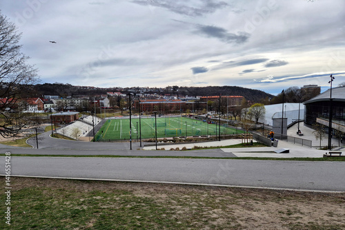 Obraz na płótnie Stadium w salonie