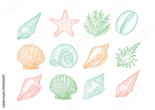 Colorful vector set of hand drawn seashells, starfish, coral and marine elements. Nautical collection in pastel colors for summer design, beach decor, and sea-themed illustrations. 