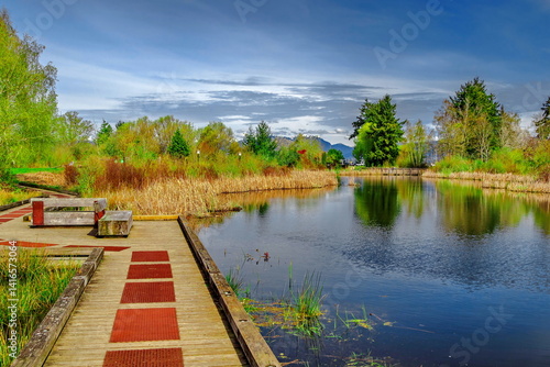Spring landscape in Terra Nova Park, forest lake with wooden bridge over stream, green trees and bushes around lake, yellow grass, wooden walkway and bench on shore