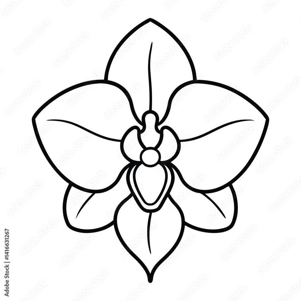 Moth orchid flower line art vector on white background Moth orchid flower line art vector on white background