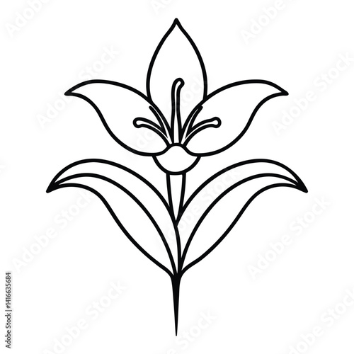 Lily of the nile flower line art vector on white background