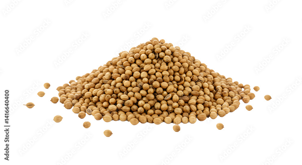 Pile of Coriander Seeds on Black Background for Culinary Use Pile of Coriander Seeds on Black Background for Culinary Use