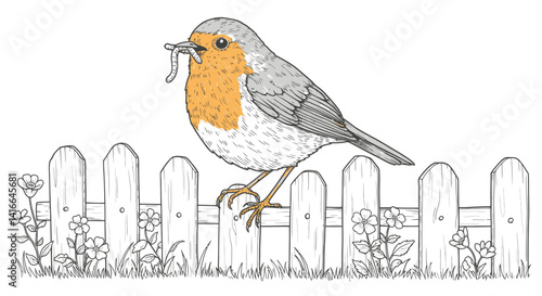 Detailed Robin Outline on Garden Fence with Worm and Flowers Coloring Page Bird Watching Illustration