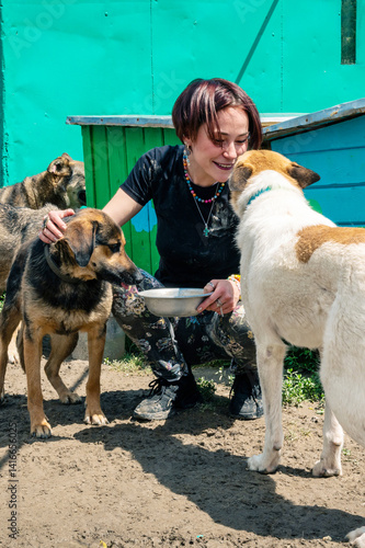 Dog in the shelter. Animal shelter volunteer takes care of dogs.