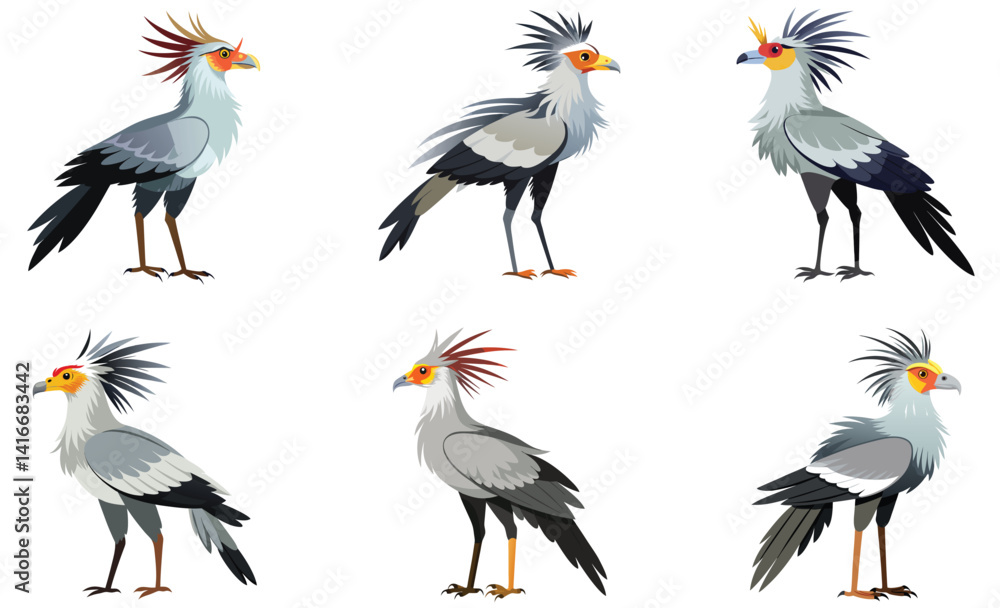 Fototapeta premium Set of Secretary bird isolated on white background