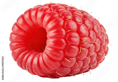 Isolated Close up Raspberry