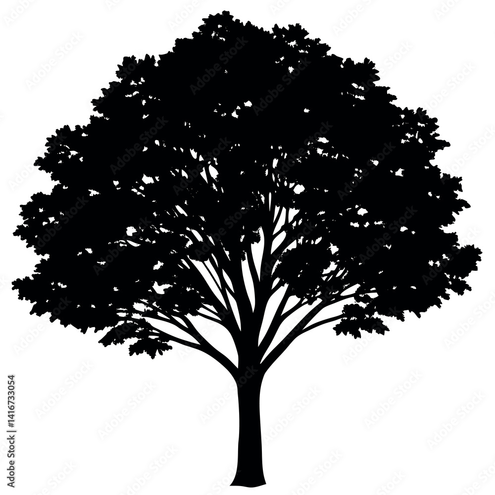 Fototapeta premium A crepe-myrtle-tree-silhouette-vector-illustration 