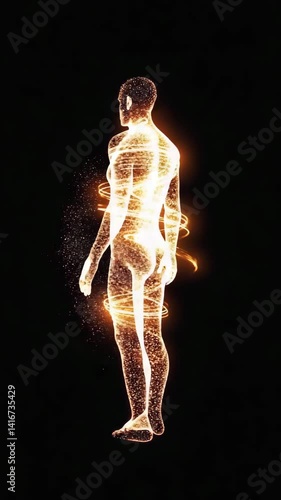 3d rendered illustration of a human body