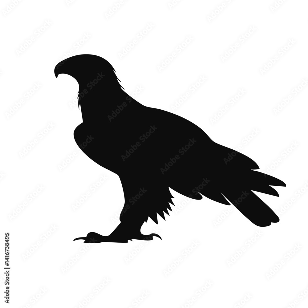 eagle silhouette vector silhouette graphic design