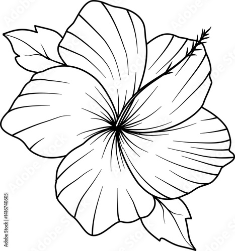 Hibiscus flower outline vector
