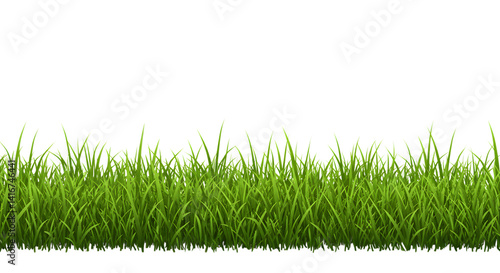 Fresh green grass strip isolated on white background showing lawn element used for gardening, environment, landscaping or natural design visuals in projects or backgrounds