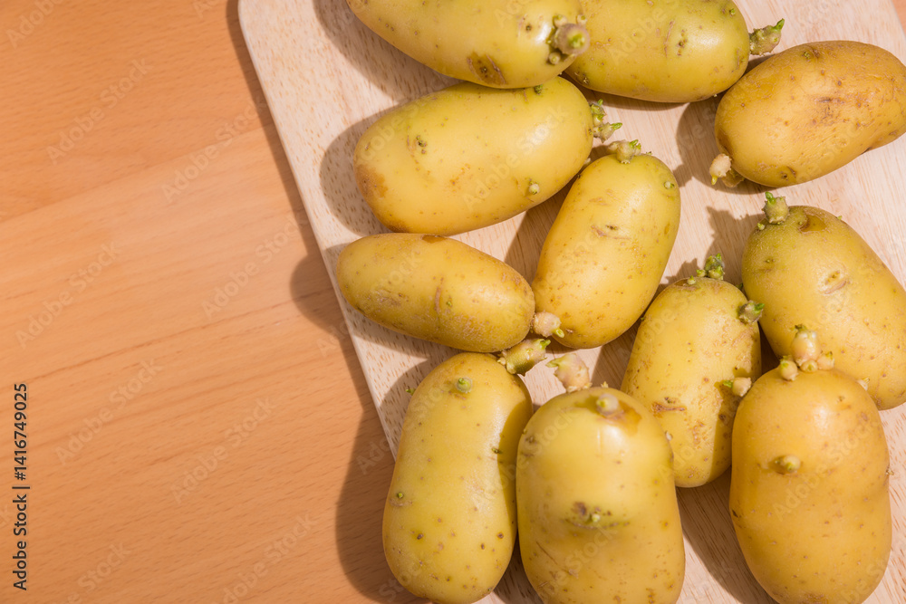 Natural potato sprouting with visible green leaves