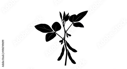 Isolated Soybean Plant Silhouette with Pods and Leaves