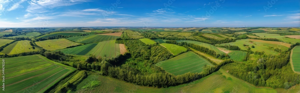 Aerial panorama of regenerative farmland with visible crop zones, hedgerows, and windbreak trees, clean blue sky with left-side copy space Aerial panorama of regenerative farmland with visible crop zones, hedgerows, and windbreak trees, clean blue sky with left-side copy space