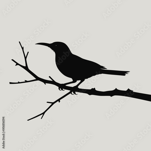 silhouette of a bird
