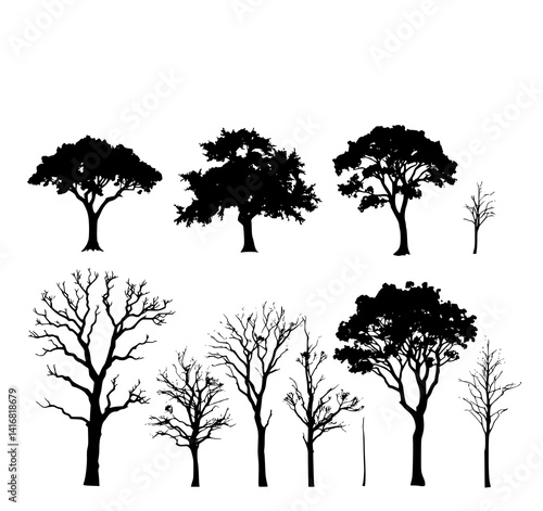 Tree Silhouettes: A stark monochrome illustration depicts a collection of diverse trees, showcasing various forms and stages of growth, from lush canopies to bare branches.