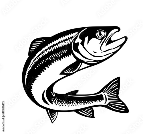 Leaping Salmon Illustration: A bold, monochrome line art drawing depicts a salmon in mid-leap, showcasing its powerful form and dynamic energy.