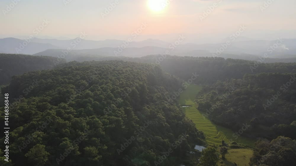 Aerial View of Pine Forest at Sunset in Northern Thailand with Mountain Layers, Scenic Horizon, and Warm Golden Light – Tranquil Natural Landscape from Drone Aerial View of Pine Forest at Sunset in Northern Thailand with Mountain Layers, Scenic Horizon, and Warm Golden Light – Tranquil Natural Landscape from Drone