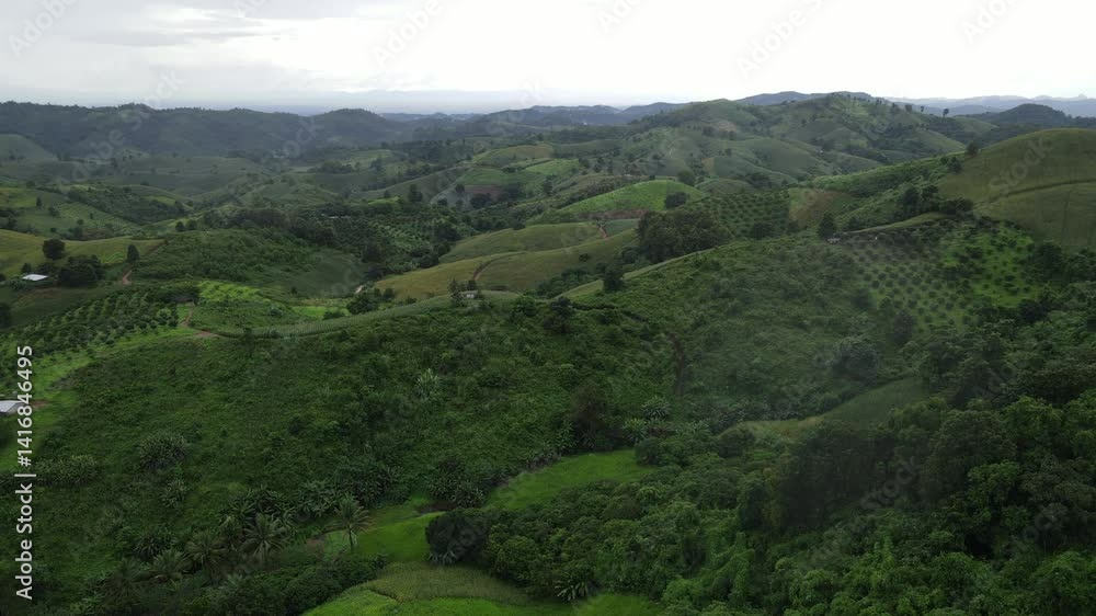 Aerial Drone View of Deforested Hills and Monoculture Farmland During Rainy Season in Northern Thailand Aerial Drone View of Deforested Hills and Monoculture Farmland During Rainy Season in Northern Thailand