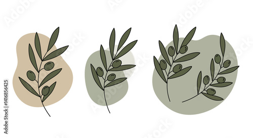 Three olive branches with green and brown leaves and olives in minimal flat design style vector illustration