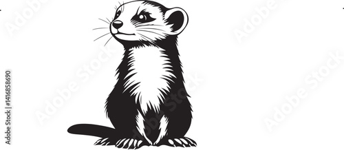 close up of a ferret