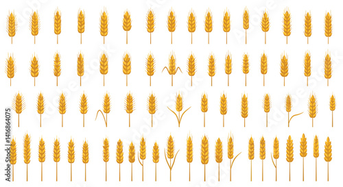 Collection of golden wheat ears in flat minimal style showing various shapes and sizes in neat rows vector illustration