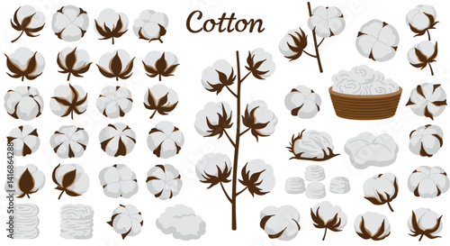 Detailed collection of cotton plant elements with branches, bolls, fibers, and textile rolls in natural colors flat style vector illustration