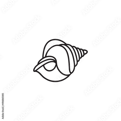 sea shell isolated on white background