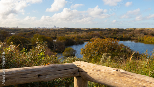 Hollandse Duinen in der Nähe von Scheveningen,