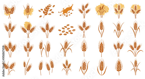Various golden wheat ears and grains in flat detailed style isolated on white background vector illustration