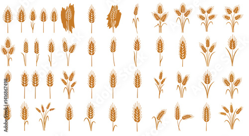 Various detailed golden wheat ear designs in flat style with diverse shapes and stages of growth vector art