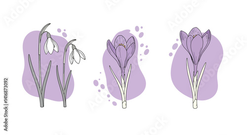 Delicate snowdrop and crocus flowers with purple abstract background flat minimal vector illustration