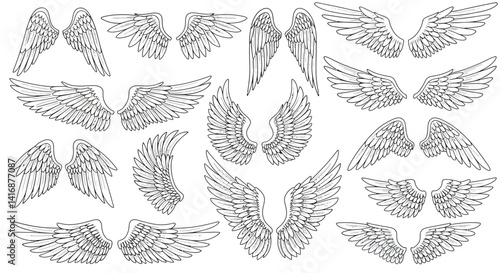 Detailed black and white feathered wings collection in hand-drawn style with various shapes and sizes vector illustration