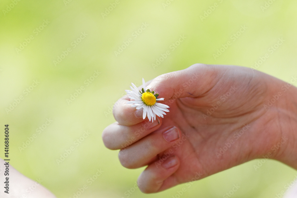 fleurs
