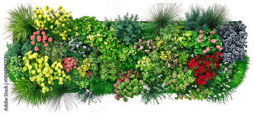 Green Flower Bed Template. Top Masterplan View and  A row of flowers with pink and white blooms of Colorful Row of Assorted Flowers and Greenery Lush Tropical Plant Wall  on islated transfarent PNG
