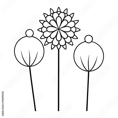 Pincushion flower line art vector on white background 