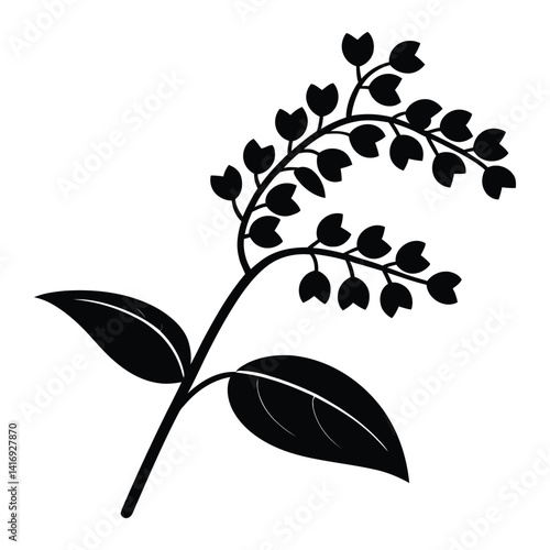 Buckwheat Silhouette, Vector, Icon, Logo, White Background.