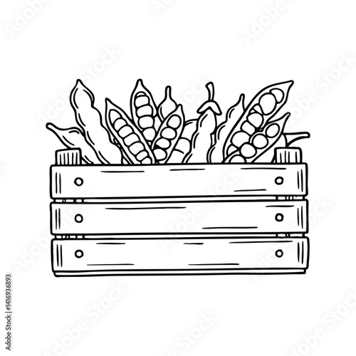 Fresh runner beans in a basket on a wooden crate