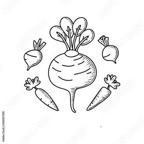 Rutabaga surrounded by carrots and turnips